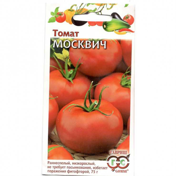 Сорт помидор москвич отзывы и фото