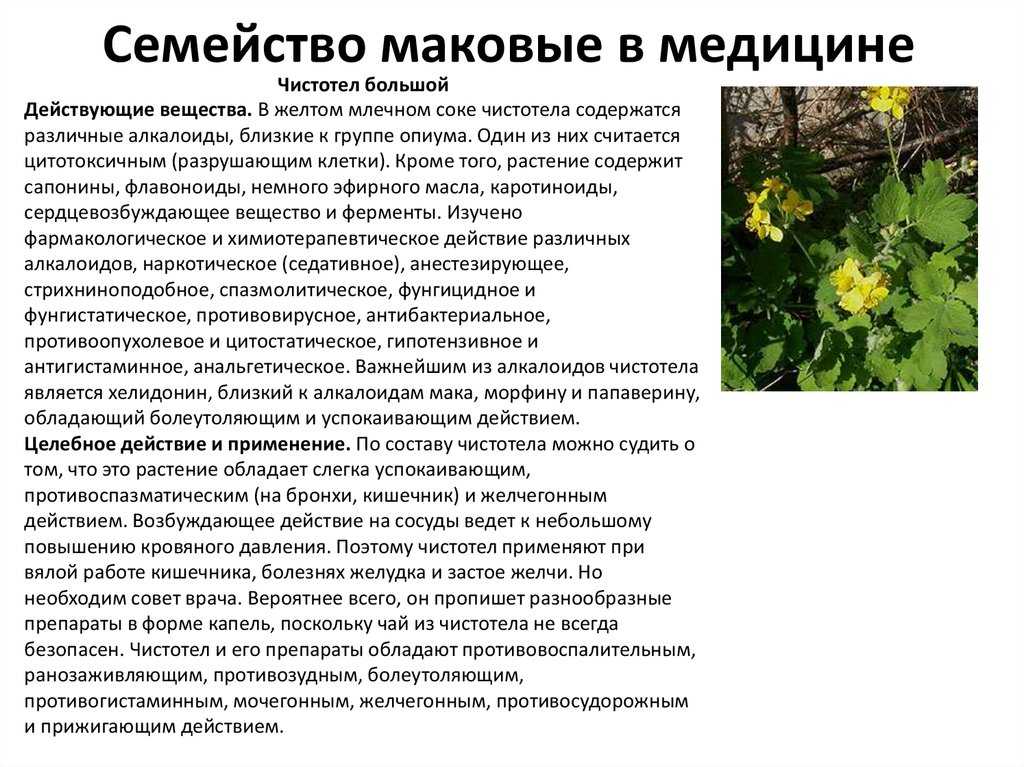 Вопрос: чёрные розы знак чего? - цветы | biologymic.ru