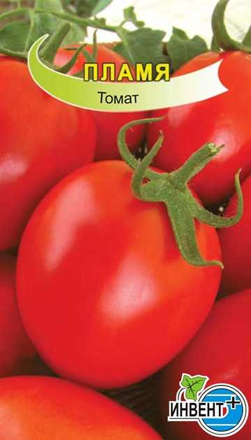 Томат турмалин: описание и характеристики, особенности посадки и выращивания, болезни и вредители, достоинства и недостатки