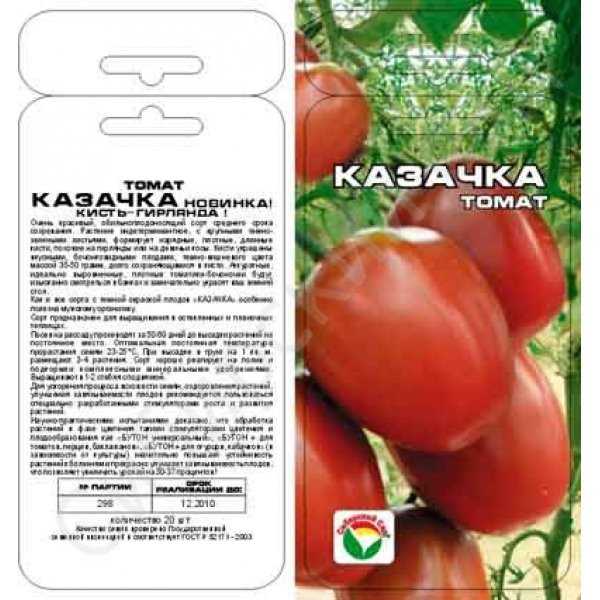 Информационный портал rasteniadacha.ru: инструкции для начинающих садовников
