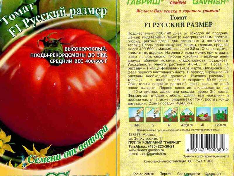 Информационный портал rasteniadacha.ru: инструкции для начинающих садовников