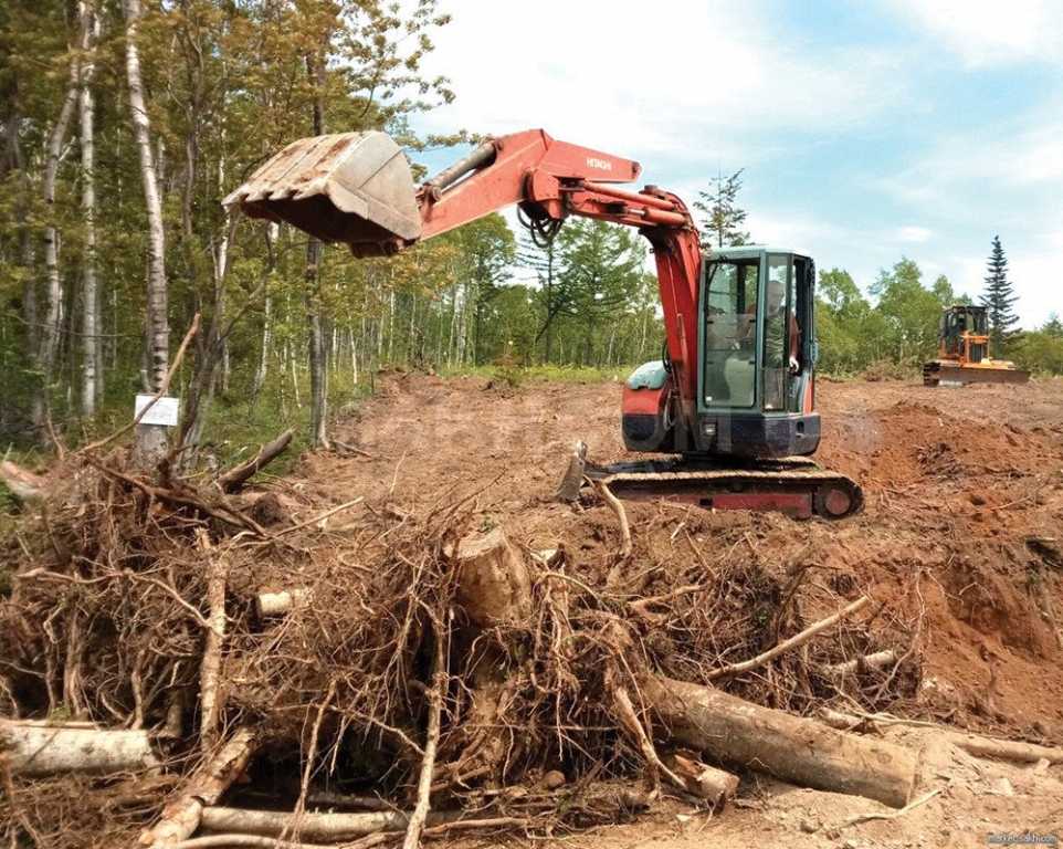 Расчистка участка (24 фото): уборка мусора и деревьев на участке под строительство, вывоз поросли и кустарников с дачного земельного участка и другие этапы